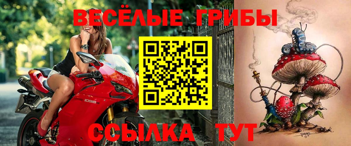 Псилоцибиновые грибы ЛСД  Вход с VPN  Галлюциногенные грибы GOLDEN TEACHER  Семёнов 