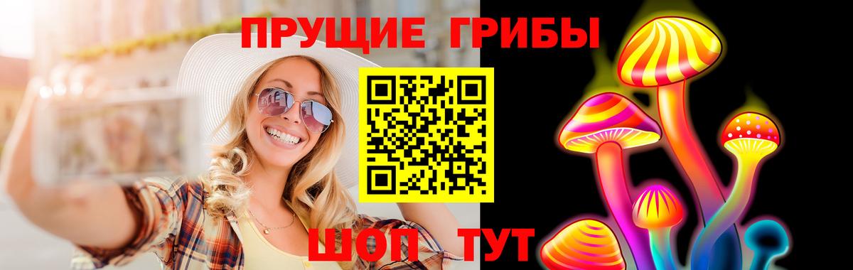 Галлюциногенные грибы Cubensis Семёнов